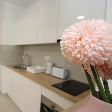 Savada Pink - With Parking And Wifi, Parking 5 Eur Per Day * 贝尔格莱德