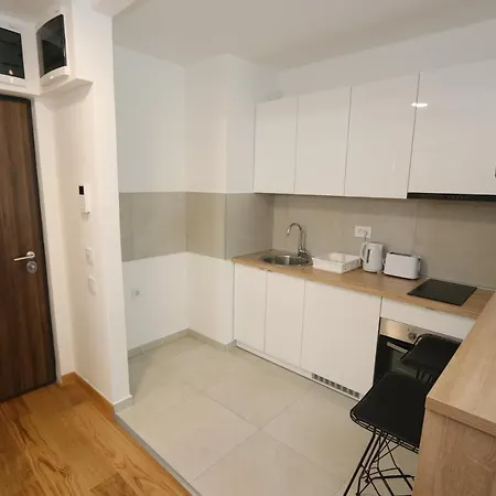 Savada Pink - With Parking And Wifi, Parking 5 Eur Per Day * 贝尔格莱德