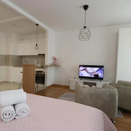 Savada Pink - With Parking And Wifi, Parking 5 Eur Per Day * 贝尔格莱德